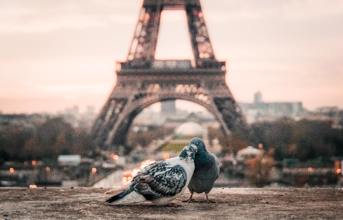 Things to Do in Paris in February 2020