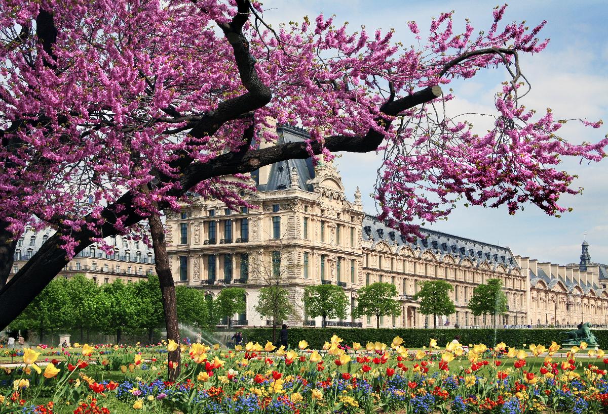 All Luxury Guide: 10 Reasons to Visit Paris This Spring