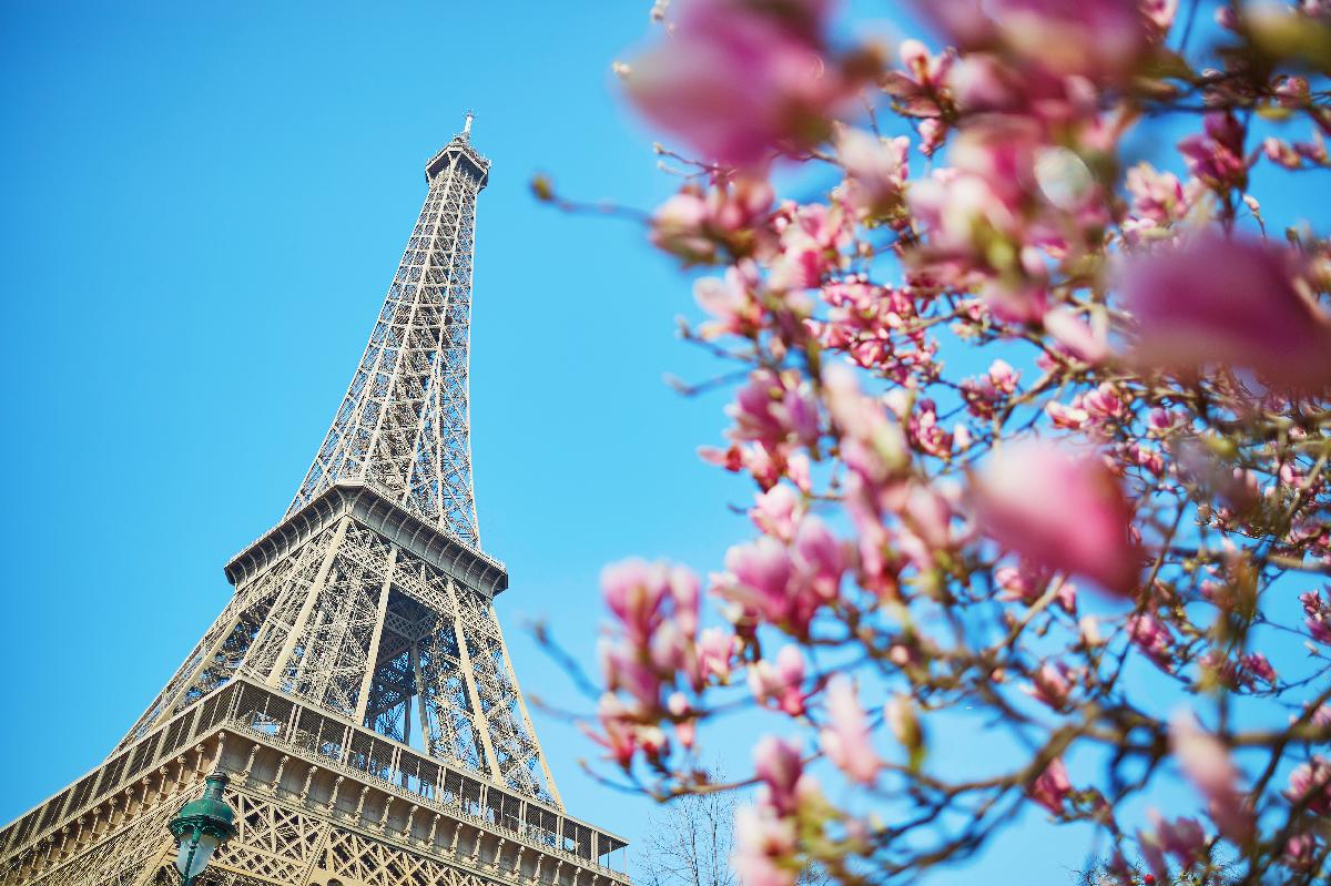 All Luxury Guide: 10 Reasons to Visit Paris This Spring