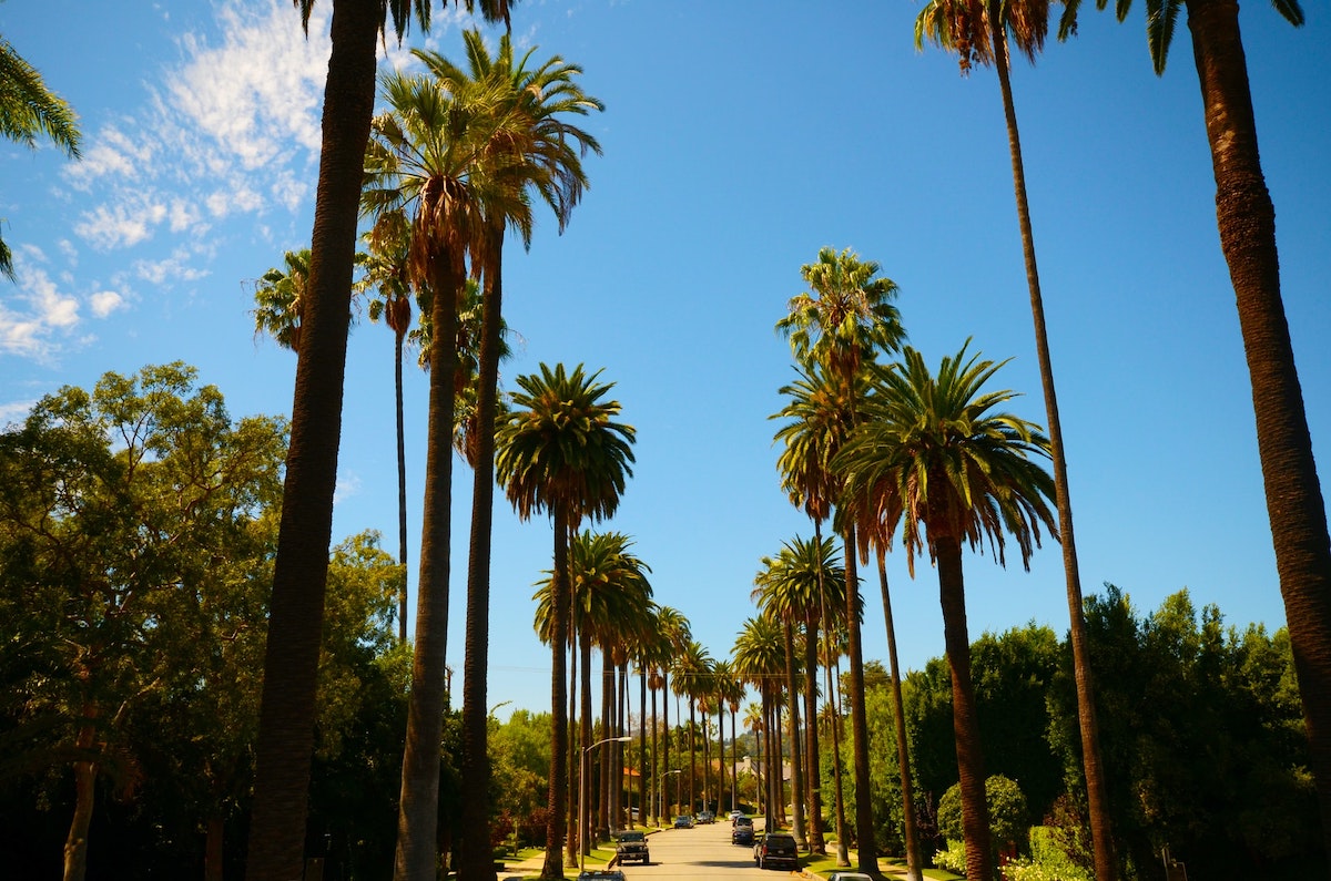 Los Angeles: City Travel Guide
