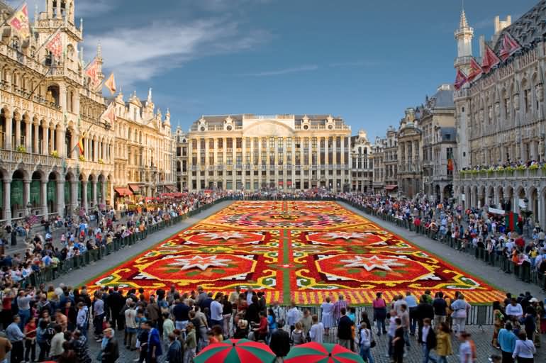 Flower Carpet at the Grand Place in Brussels - All Luxury Apartments